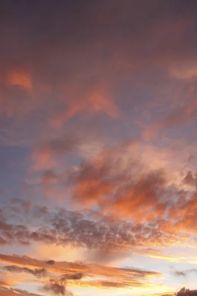 여름 하늘 — 스톡 사진