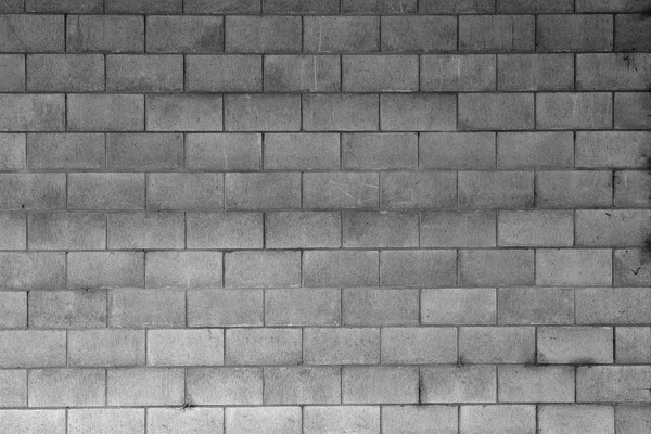 Pared — Foto de Stock