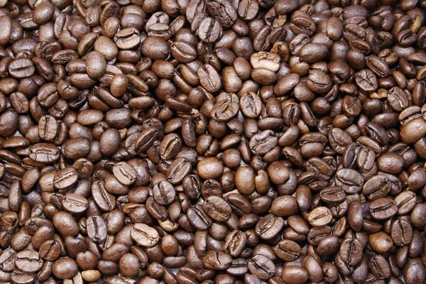 Kaffeebohnen — Stockfoto