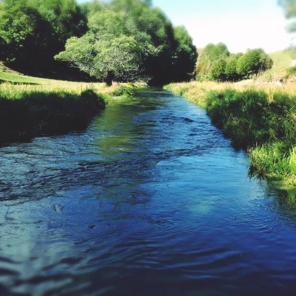 Quellwasser — Stockfoto