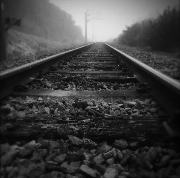 Railway tracks — Stock Photo, Image