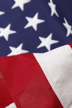 ABD bayrağı detay