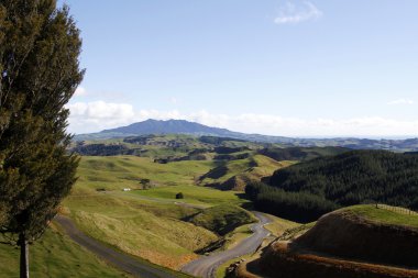 Yeni Zelanda manzara