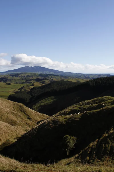 New Zealand scenic — 图库照片