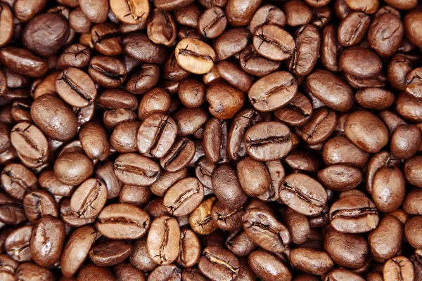 Roasted coffee beans — Stock Photo, Image