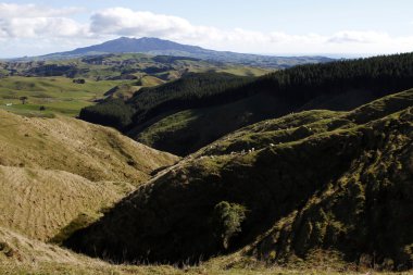 Yeni Zelanda manzara