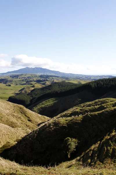 New Zealand scenic — 图库照片