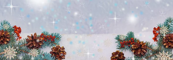 Голубая Еловая Ветвь Шишками Сухими Ягодами Роуэн Фоне Снега Предыстория — стоковое фото