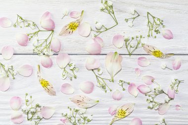 Pembe gül yaprakları ve hafif ahşap arka planda küçük beyaz çiçekler. Güzel bir yaz, kartpostallar için bahar arkaplanı, tasarım.