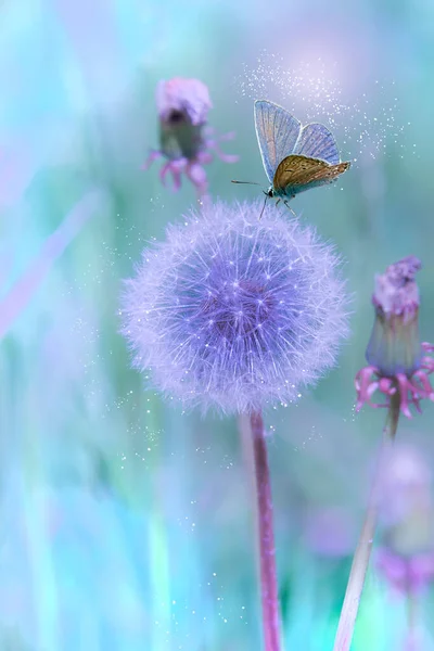 Flowers Yellow Dandelions Bumblebee Next Dandelions Selective Focus Magical Image — ストック写真