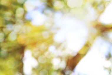 Altın cennet ışığı. Umut kavramı, soyut bulanık doğa arkaplanı