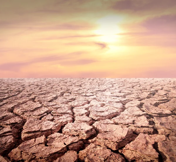 Clay soil drought cracked with sunset for background texture