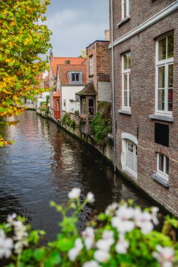 Bruges, Belçika 'da su kanalı olan resimli sonbahar şehri.