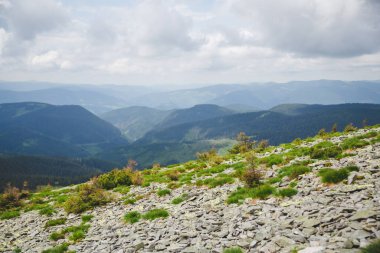 Yazın Ukrayna 'daki Karpat Dağları. Gorgany aralığı