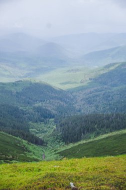 Yazın Ukrayna 'daki Karpat Dağları. Gorgany aralığı