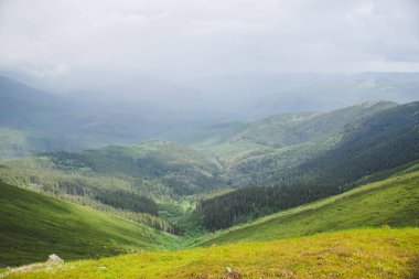 Yazın Ukrayna 'daki Karpat Dağları. Gorgany aralığı