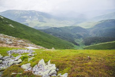 Yazın Ukrayna 'daki Karpat Dağları. Gorgany aralığı