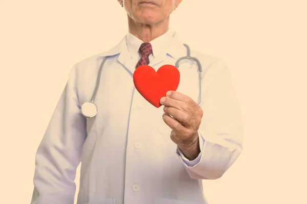 Старший врач держит красное сердце — стоковое фото