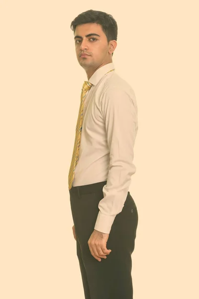 Portret van jonge knappe Perzische zakenman kijkend naar camera — Stockfoto