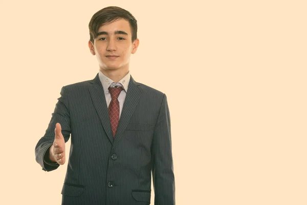 スタジオショットの若いですハンサムなペルシャの十代のビジネスマンを与える握手 — ストック写真
