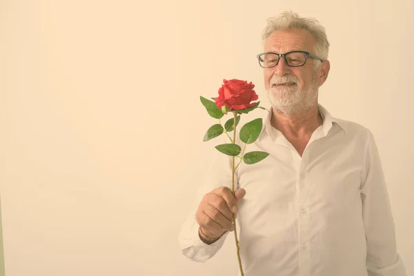 Studio Colpo Felice Anziano Barbuto Uomo Sorridente Mentre Guardando Rosa — Foto Stock