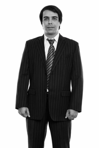 Studio shot of young Persian businessman standing — Stock Photo, Image