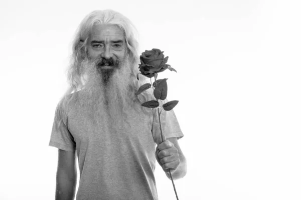 Studio záběr šťastný starší vousatý muž s úsměvem, zatímco dávat růže připravena na Valentýna — Stock fotografie