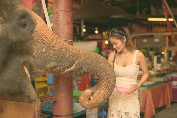 Ung vacker asiatisk kvinna som har semester i Ayutthaya, Thailand — Stockfoto