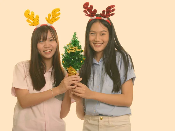 행복 한 아시아 십 대 소녀 두 명 이 행복 한 신년 나무를 들고 미소짓고 있다 — 스톡 사진