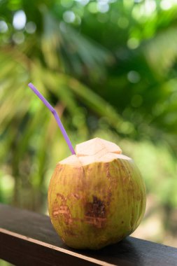 Tropikal yapraklı taze hindistan cevizi doğal su kaybını ve sağlıklı tropikal yaşam tarzını temsil eder.