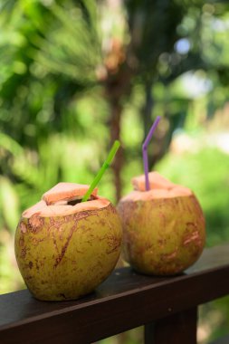 Tropikal yapraklı taze hindistan cevizi doğal su kaybını ve sağlıklı tropikal yaşam tarzını temsil eder.