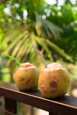 Tropikal yapraklı taze hindistan cevizi doğal su kaybını ve sağlıklı tropikal yaşam tarzını temsil eder.
