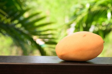 Taze taze mango tropikal yapraklarla beslenme ve yaz yaşam tarzını temsil ediyor.