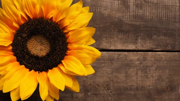 Sunflower on wood — Stock Photo, Image