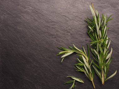 Biberiye dallar üzerinde karanlık mazisi