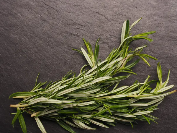 Fresh rosemary twigs on slate — Stock Photo, Image