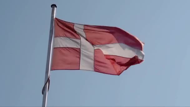 Dänische Flagge schwenken — Stockvideo