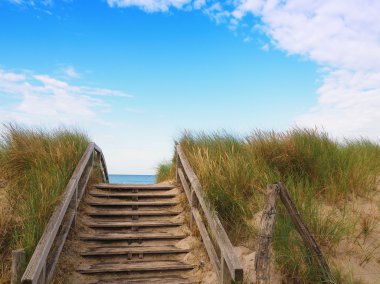 Dune çimenlerin üzerinde mavi yaz gökyüzü bulut şekillerle