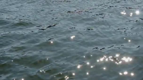 Glitzerndes Wasser in Zeitlupe — Stockvideo