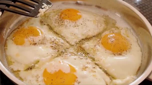 Gebakken eieren in een pan — Stockvideo