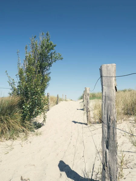 Piękna Ścieżka Plażę Słoneczny Zimowy Dzień — Zdjęcie stockowe