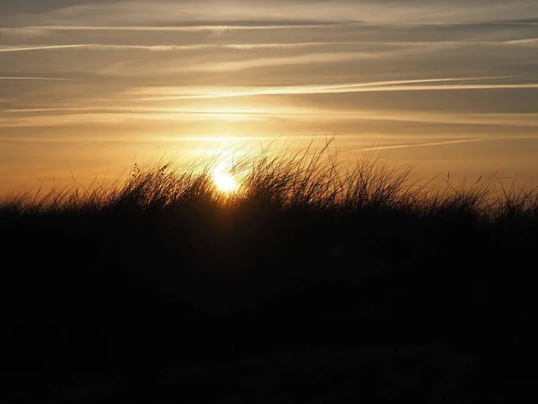 Goldener Sonnenuntergang Über Einer Düne Mit Dünengras — Stockfoto