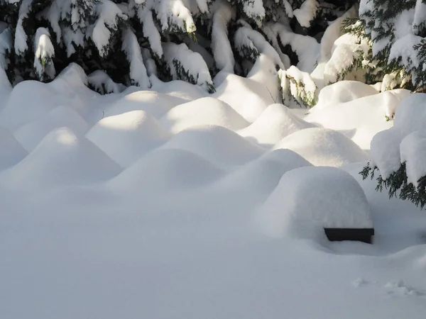 Foto Invierno Con Una Cubierta Nieve Cerrada Utilizando Como Fondo —  Fotos de Stock