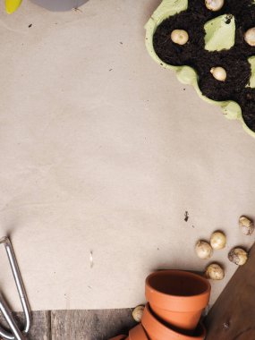 Bahçe aletleri ahşap bir masa üzerinde, bahar zamanı veya bahçe konsepti