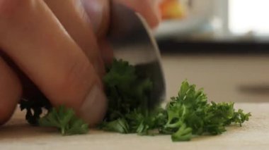 Bir aşçı maydanozu beşik bıçağıyla doğruyor.