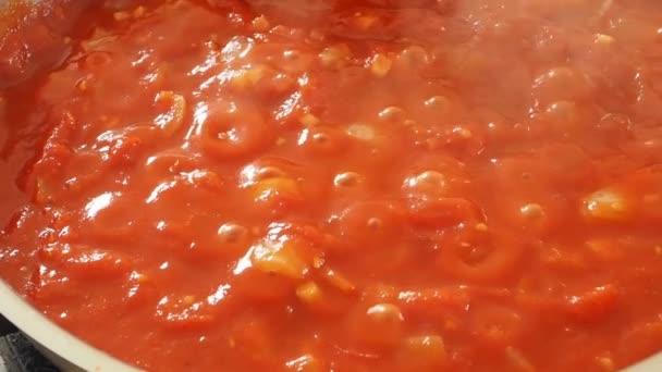 Pizza Tomatensauce Aus Biologischen Zutaten Einer Pfanne Kochen — Stockvideo