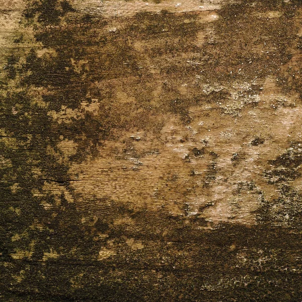 Старе Вивітрене Дерево Фон Текстура Дерева Фон — стокове фото