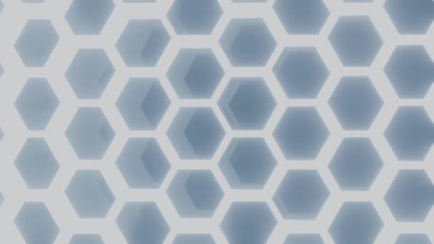 Iluminated Blue Honeycomb Pattern Black Animation Seamless Loop — Stock video