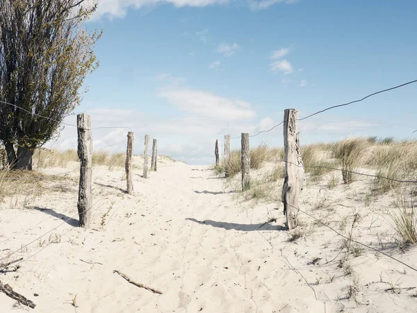 Piękna Ścieżka Plażę Słoneczny Zimowy Dzień Morze Bałtyckie — Zdjęcie stockowe