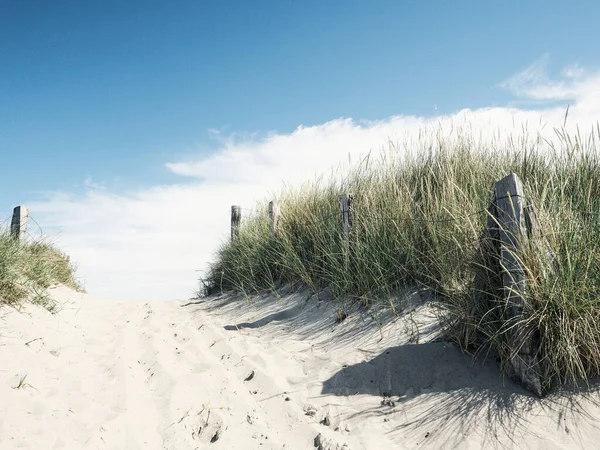 Schöner Strandweg Einem Sonnigen Sommertag Ostsee Deutschland Heiligenhafen — Stockfoto